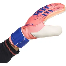 adidas Predator Match Signal Coral/White/Lucid Blue 8,5