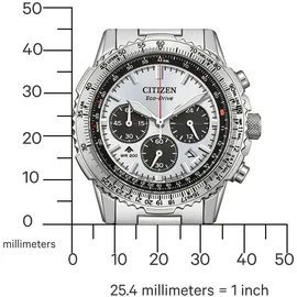 Citizen Promaster Sky CA4660-61A Edelstahl 40 mm CA4660-61A