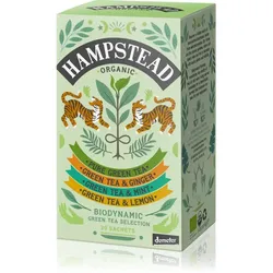 Hampstead Tea London Green Tea Selection BIO portionierter Tee 20 St.