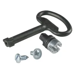 Schneider Electric NSYTDBCRN Doppelbartschlosseinsatz 3mm (Standard), Material: Zamak.