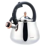 Klausberg Stahl-Wasserkessel Flötenkessel Teekessel Kessel 2,8L Induktion, silber-glänzend KLAUSBERG KB-7776