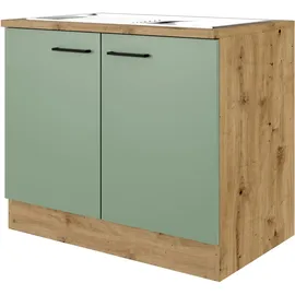Flex-Well Spülenschrank Cara 100 x 85 x 60 cm Grün