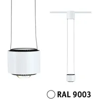 Paulmann URail LED Pendel Aldan 8,5W 4000K dimmbar 230V