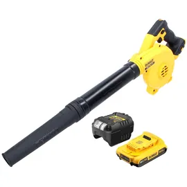 DeWalt DCV 100 D1 inkl. 1 x 2,0 Ah + Ladegerät