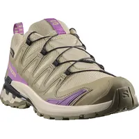 Salomon XA Pro 3D V9 GTX Damen Bog/Aloe/Concord Grape 40 2/3