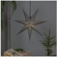 Star Trading Papierstern Ozen 70 cm grau