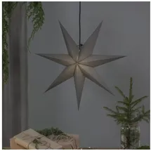 Star Trading Papierstern Ozen 70 cm grau