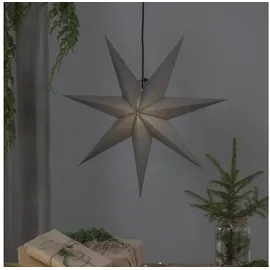 Star Trading Papierstern Ozen 70 cm grau