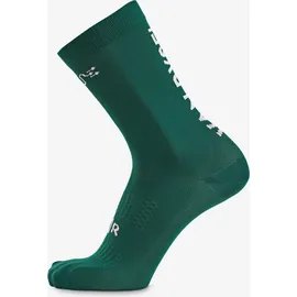 VAN RYSEL EDR Radsocken 39-42 Grün