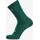 VAN RYSEL EDR Radsocken 39-42 Grün