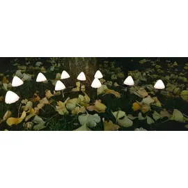 FHS International FHS 35697 LED Solar Lichterkette Pilze 3,8m 20 LED warmweiß Gartenstecker Lichtsensor - Weiß