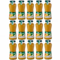 güldenkron Smoothie Gelb Mehrfrucht Fruchtpüree Konzentrat 15x200ml