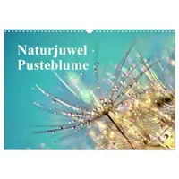 Calvendo Naturjuwel Pusteblume (Wandkalender 2026 DIN A3 quer), CALVENDO
