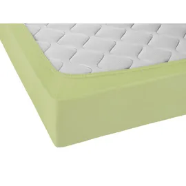 biberna 0077866 Jersey-Elastic 180 x 200 - 200 x 220 cm pistaziengrün