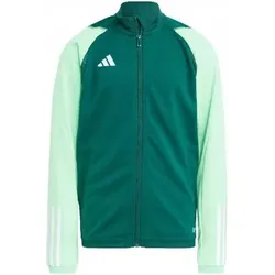 adidas  Kinder-Sweatshirt Tiro 23 Competition Training  in Grün, EU L