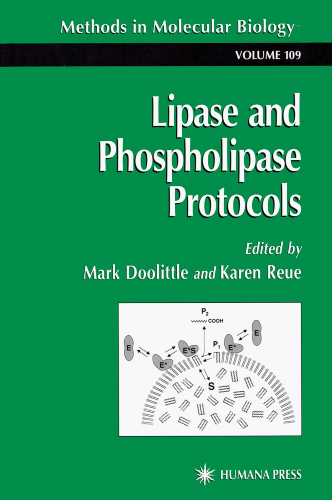 Lipase And Phospholipase Protocols  Kartoniert (TB)