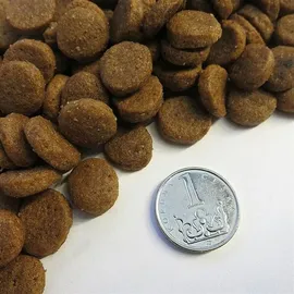 Taste of the wild High Prairie Puppy 5,6 kg