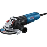 Bosch GWS 17-150 PS Professional 06017D1600