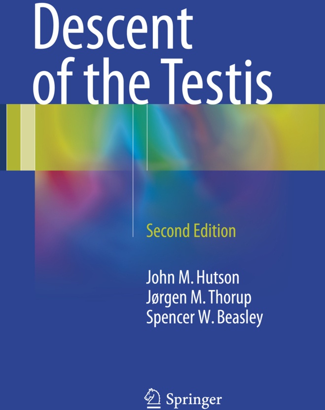 Descent Of The Testis - John M. Hutson  Jørgen Mogens Thorup  Spencer W. Beasley  Kartoniert (TB)