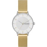 Skagen RIIS Edelstahl 36 mm SKW3092