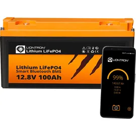 LIONTRON LiFePO4 LX Arctic 1,28 kWh