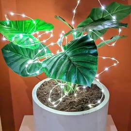 MARELIDA LED Lichterkette Draht Lichtbündel 1 m Silber warmweiß