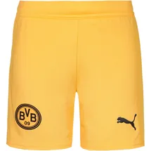Puma Borussia Dortmund Shorts 2025/26 gelb Kinder Gr. 140