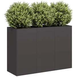 vidaXL Pflanzkübel 120 x 40 x 80 cm Schwarz