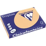 Clairefontaine Trophée Universalpapier matt aprikose