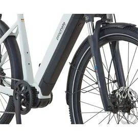 Prophete Entdecker 5.0 48V 28 Zoll RH 50 cm Grau-Schwarz Matt