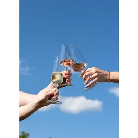 Schott Zwiesel MioVino Weißweinglas 0,38 l 4er Set