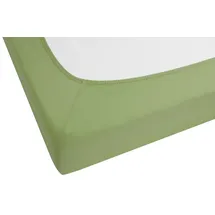 biberna Spannbettlaken Jersey-Elasthan 90 x 190 - 100 x 220 cm grün