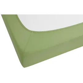 biberna Spannbettlaken Jersey-Elasthan 90 x 190 - 100 x 220 cm grün