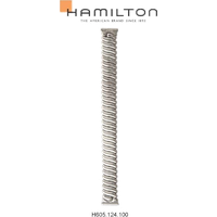 Hamilton Metall Benton Band-set Edelstahl H695.124.100 - silber