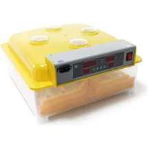 Wiltec Automatische Brutmaschine, Terrarium