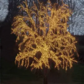 Star Trading LED-Lichterkette 10 m spritzwassergeschützt warmweiß