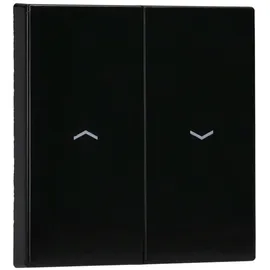 Jung Taster LS 995 P SW