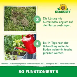 NEUDORFF SF-Nematoden gegen Ameisen 10 Mio. St.