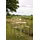 BEST Freizeitmöbel BEST Windson – Barstuhl sand