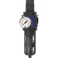 Riegler VFR 53 S (124796) Filterregler »variobloc« mit P
