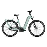 Kalkhoff Image 5+ Advance 2026 29 Zoll RH 58 cm Damen grün