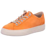 Paul Green 4081