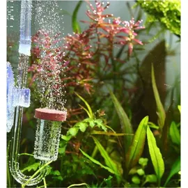 OEM Neo CO2-System - komplettes CO2-Set