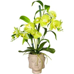 CREATIV green künstliche Pflanze Orchideen-Bambus Arrangement x2, ca 60cm, grün, Real Touch, im Zementtopf Buddha