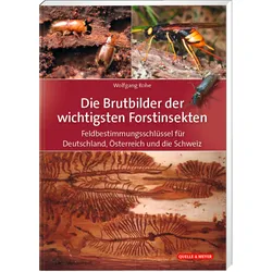 Die Brutbilder der wichtigsten Forstinsekten