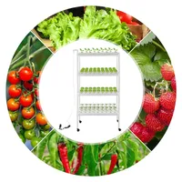 Hydroponisches Grow-Kit, Hydroponische Pflanzausrüstung, Hydroponisches Anbausystem mit Grow-Körben