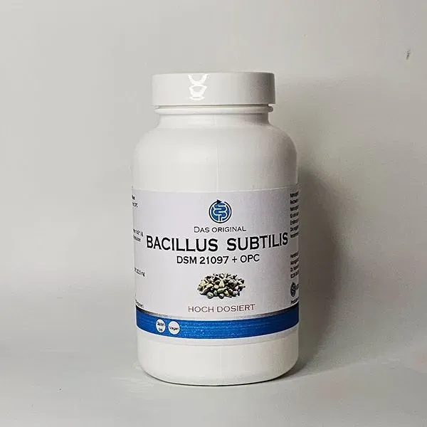 Bacillus subtilis Kapseln 