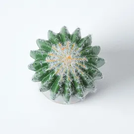 Homescapes KUNSTPFLANZE Kugelkaktus im Deko-Topf, 19 cm