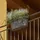 Euro3Plast Pflanzkasten Cassetta UP 50 cm taupe