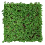 JANGAL Wandpaneel Jangal Nature Design Grün 2 St. 52 x 52 x 6 cm